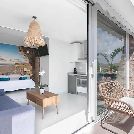 Loft Pintor Julio Visconti 2 * San Jose (Almeria)